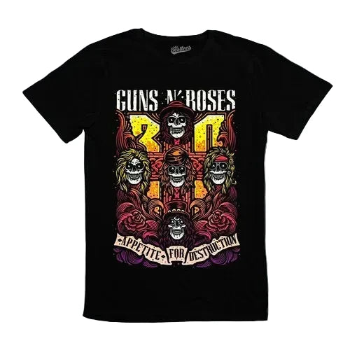 GUNS'N'ROSES （30）